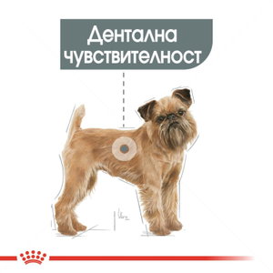 ROYAL CANIN Mini Dental Care - 1 кг
