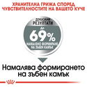 ROYAL CANIN Mini Dental Care - 1 кг