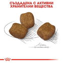 ROYAL CANIN Mini Dental Care - 1 кг