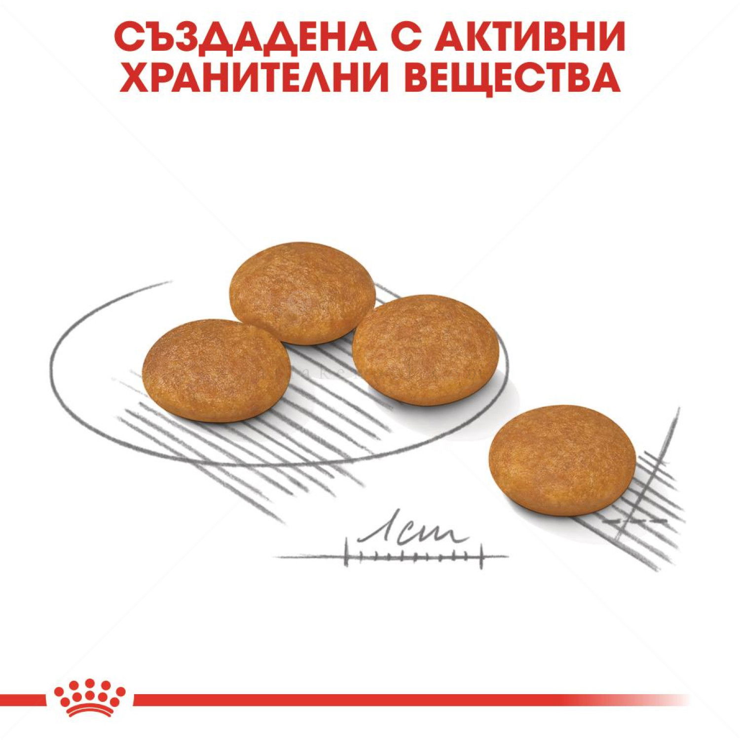 ROYAL CANIN Mini Dermacomfort - 8 кг