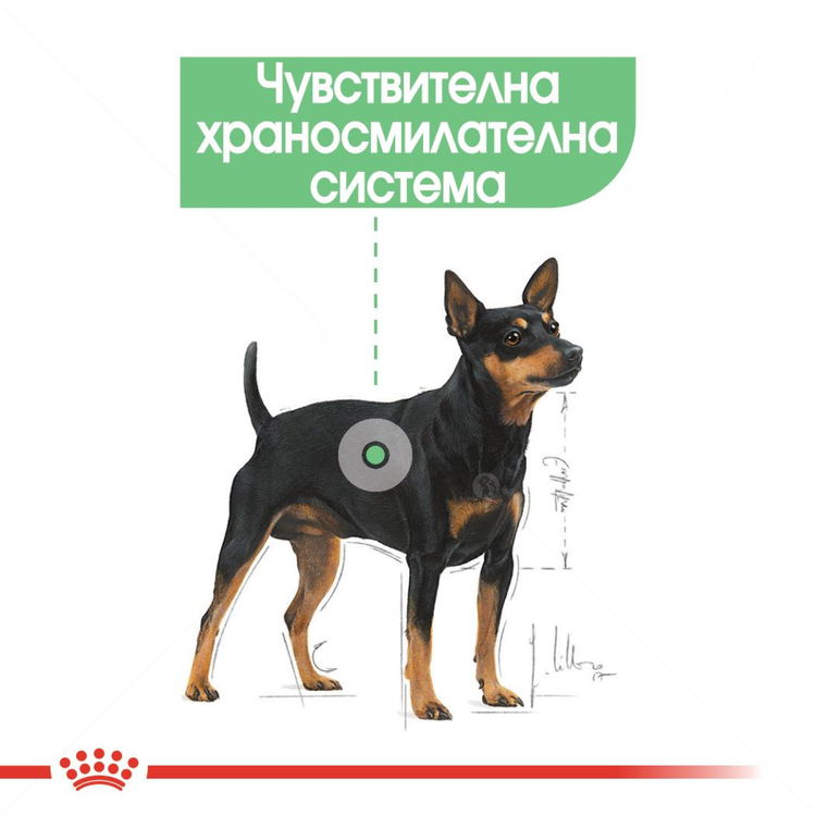 ROYAL CANIN Mini Digestive care - 8 кг