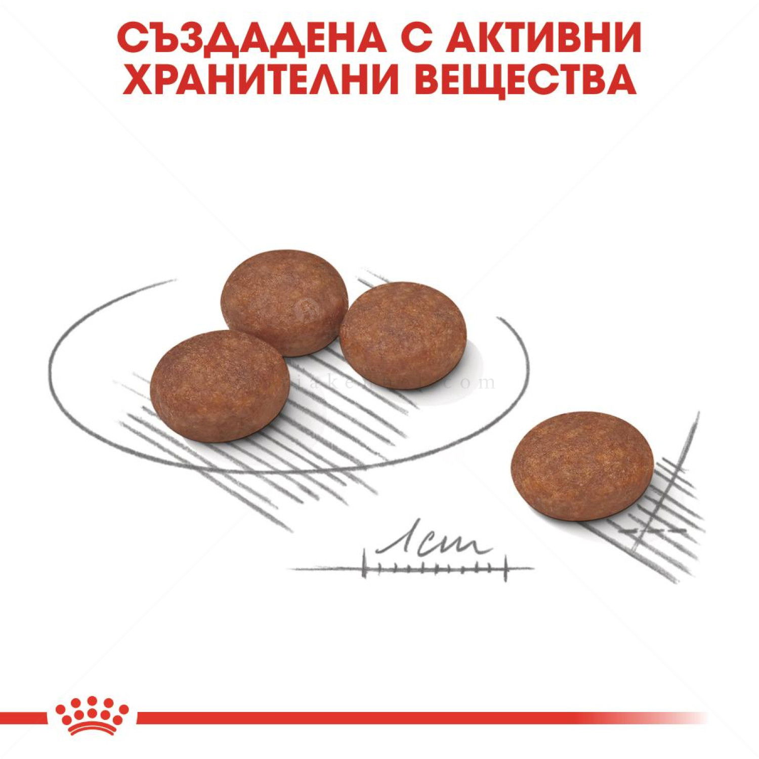 ROYAL CANIN Mini Digestive care - 8 кг