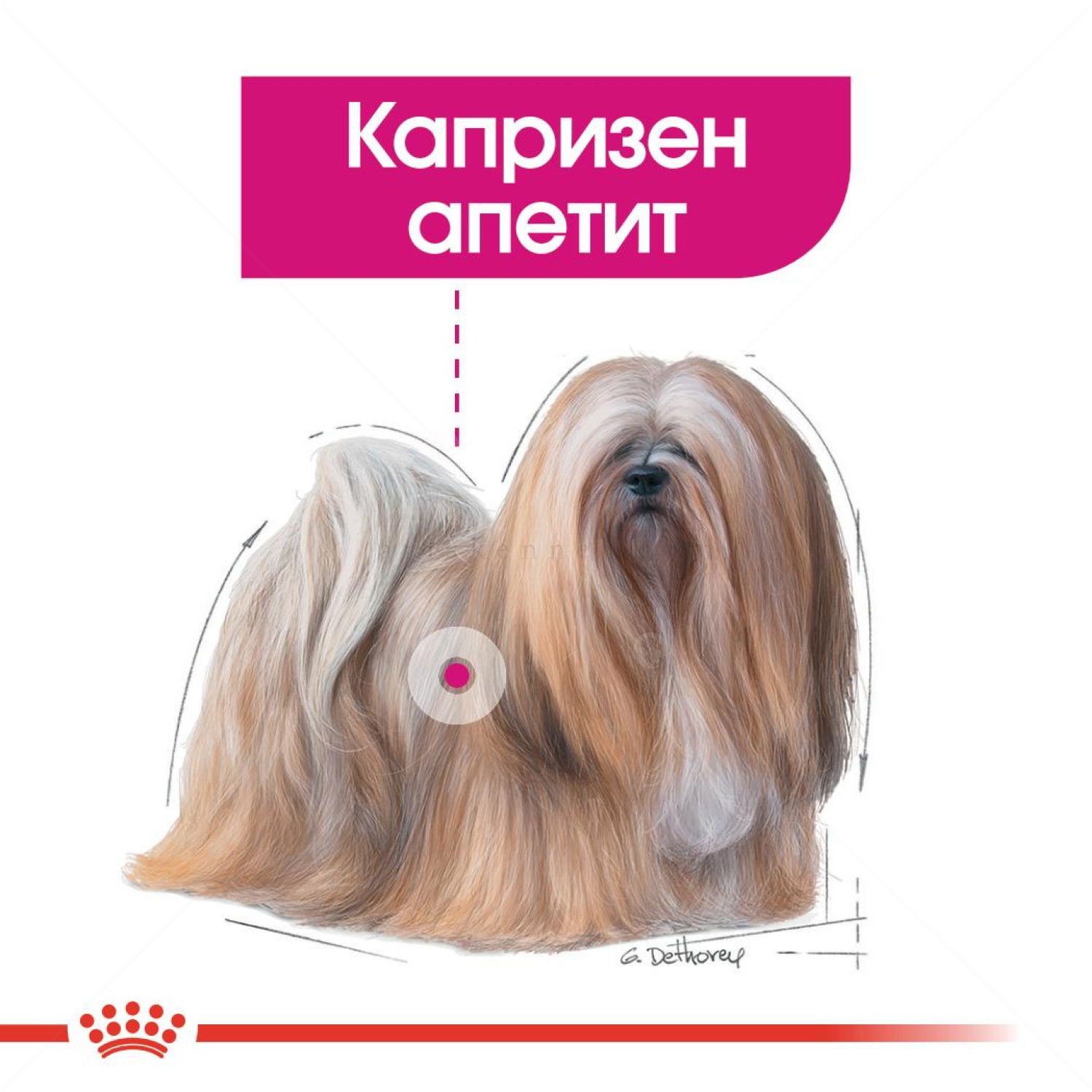 ROYAL CANIN Mini Exigent - 1 кг