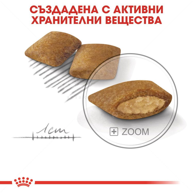 ROYAL CANIN Mini Exigent - 1 кг