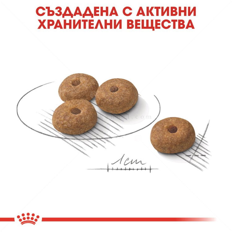 ROYAL CANIN Mini Sterilised - 8 кг