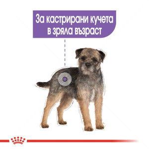 ROYAL CANIN Mini Sterilised - 1 кг