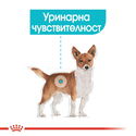 ROYAL CANIN Mini Urinary - 3 кг