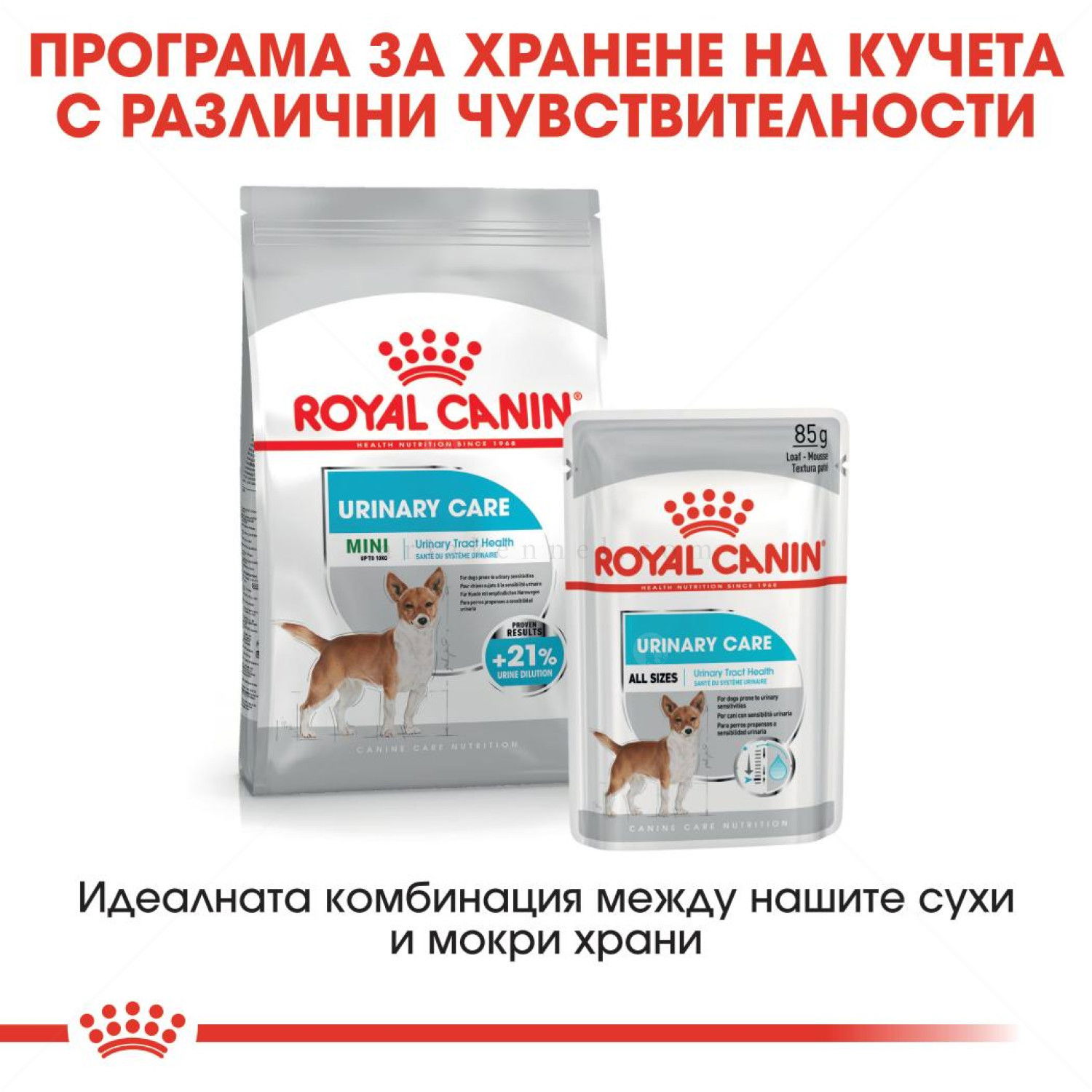 ROYAL CANIN Mini Urinary - 3 кг