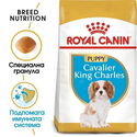 ROYAL CANIN Puppy Cavalier King Charles Spaniel -  1.500 кг