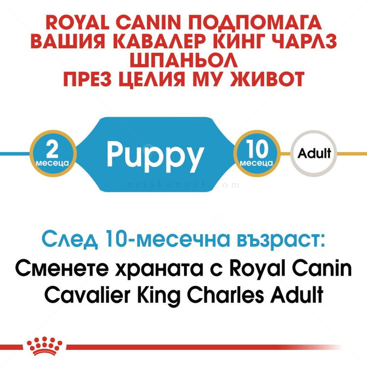 ROYAL CANIN Puppy Cavalier King Charles Spaniel -  1.500 кг