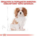 ROYAL CANIN Puppy Cavalier King Charles Spaniel -  1.500 кг
