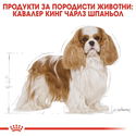 ROYAL CANIN Adult Cavalier King Charles Spaniel -  1.500 кг