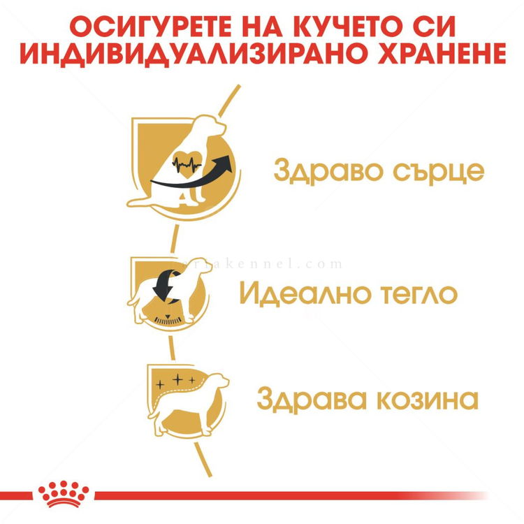 ROYAL CANIN Adult Cavalier King Charles Spaniel -  1.500 кг