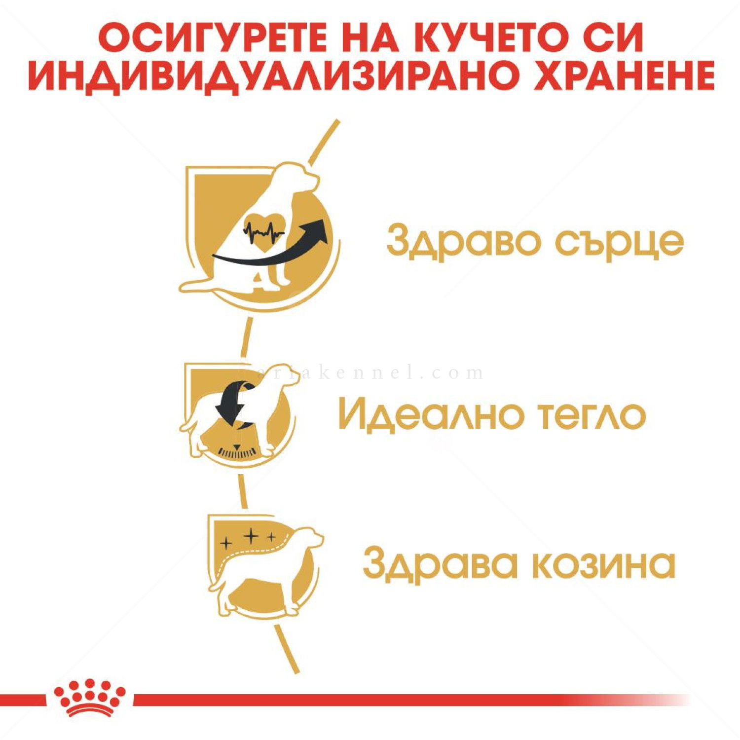 ROYAL CANIN Adult Cavalier King Charles Spaniel -  1.500 кг