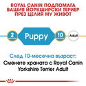 ROYAL CANIN Puppy Yorkshire Terrier - 0.500 кг