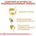 ROYAL CANIN Adult Yorkshire Terrier - 1.500 кг