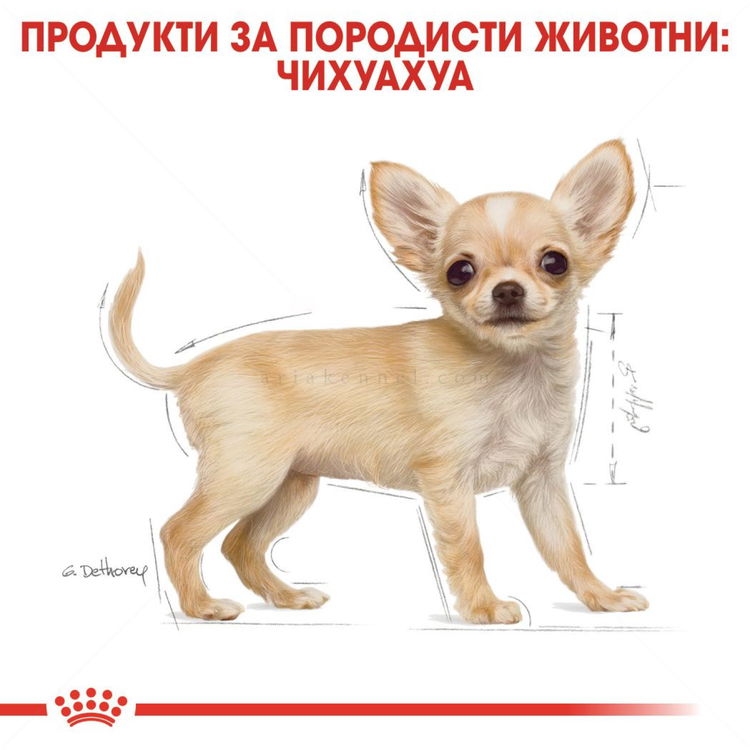 ROYAL CANIN Puppy Chihuahua - 1.500 кг