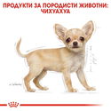 ROYAL CANIN Puppy Chihuahua - 1.500 кг