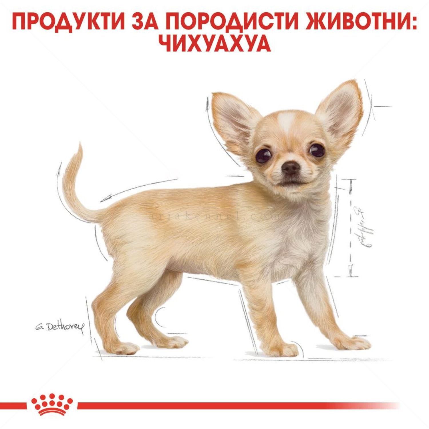 ROYAL CANIN Puppy Chihuahua - 1.500 кг