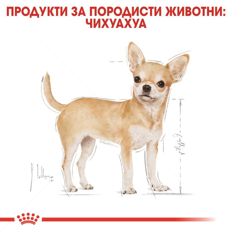ROYAL CANIN Adult Chihuahua - 0.500 кг