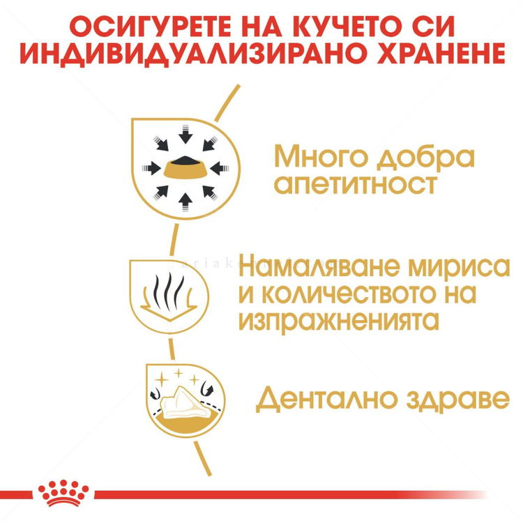 ROYAL CANIN Adult Chihuahua - 0.500 кг