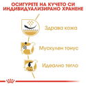 ROYAL CANIN Adult Pug - 1.500 кг