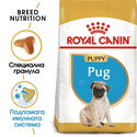 ROYAL CANIN Puppy Pug - 1.500 кг