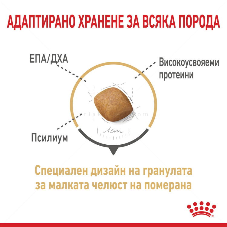 ROYAL CANIN Adult Pomeranian - 0.500 кг