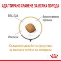 ROYAL CANIN Adult Pomeranian - 0.500 кг
