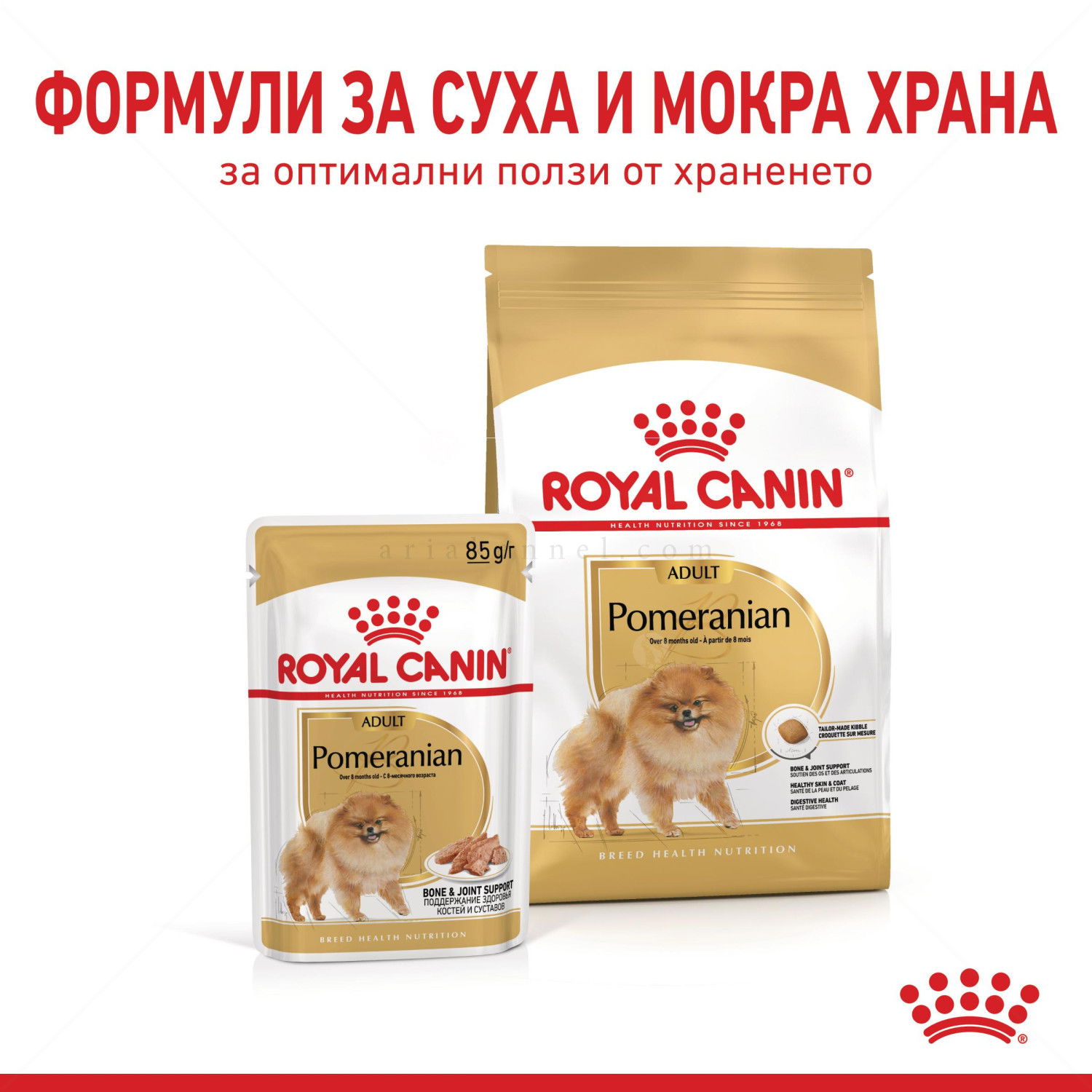 ROYAL CANIN Adult Pomeranian - 0.500 кг