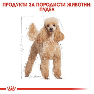 ROYAL CANIN Adult Poodle - 1.500 кг
