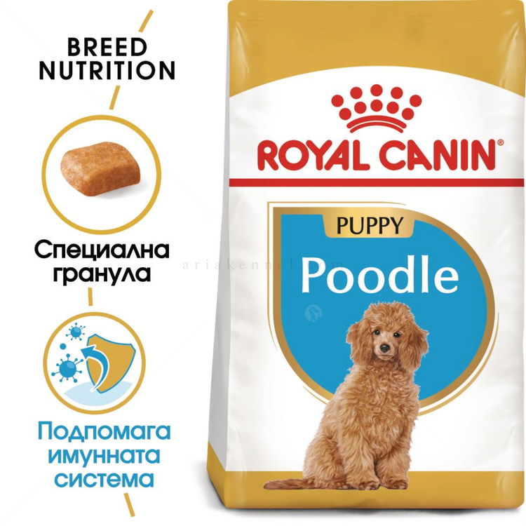 ROYAL CANIN Puppy Poodle - 0.500 кг