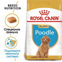 ROYAL CANIN Puppy Poodle - 0.500 кг