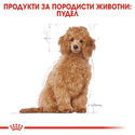 ROYAL CANIN Puppy Poodle - 0.500 кг