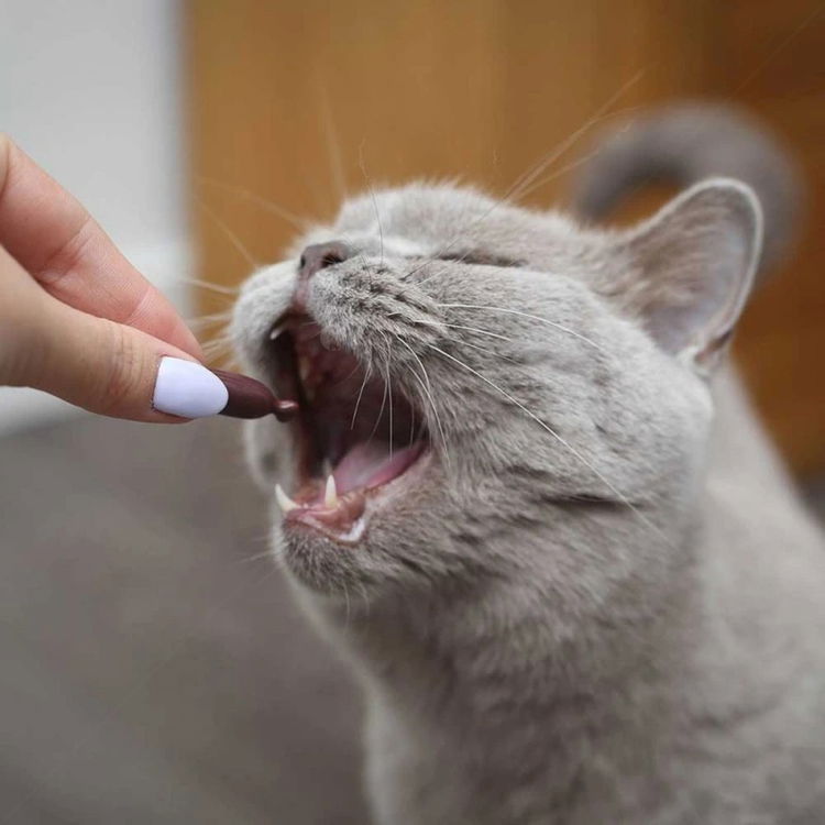 Хранителна добавка за поддържане на уринарния тракт VET EXPERT UrinoVet Cat, 45 капсули