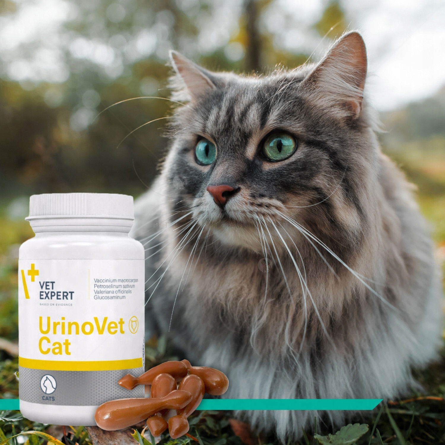 Хранителна добавка за поддържане на уринарния тракт VET EXPERT UrinoVet Cat, 45 капсули