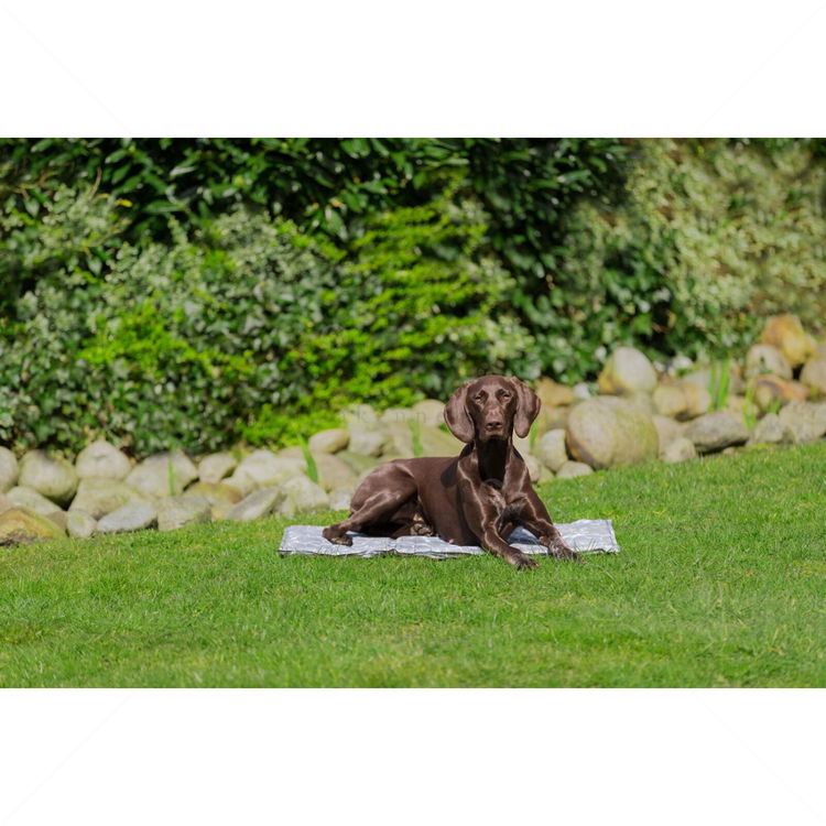 Охлаждаща постелка TRIXIE, сива, 50х40 см