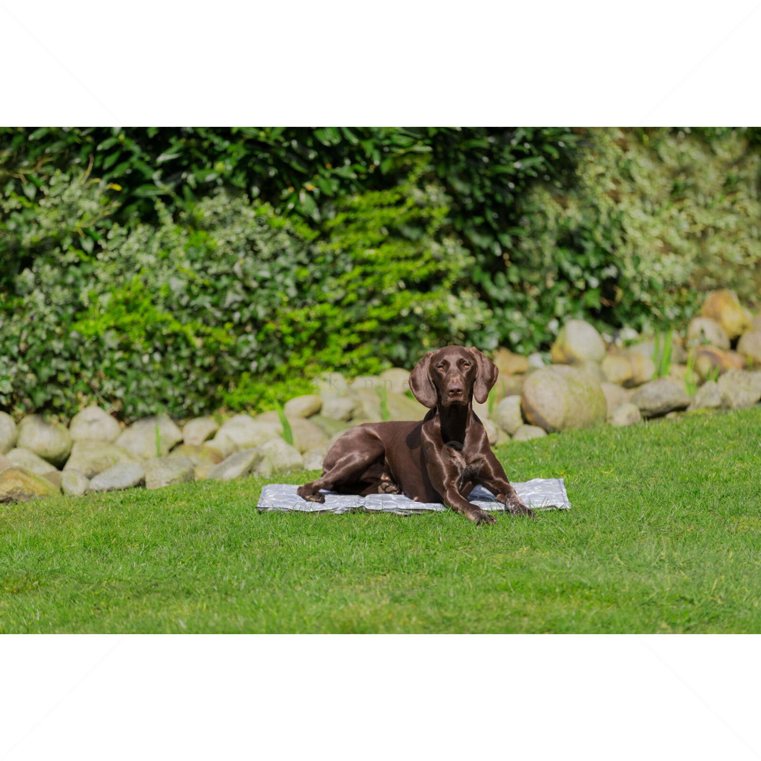 Охлаждаща постелка TRIXIE, сива, 50х40 см