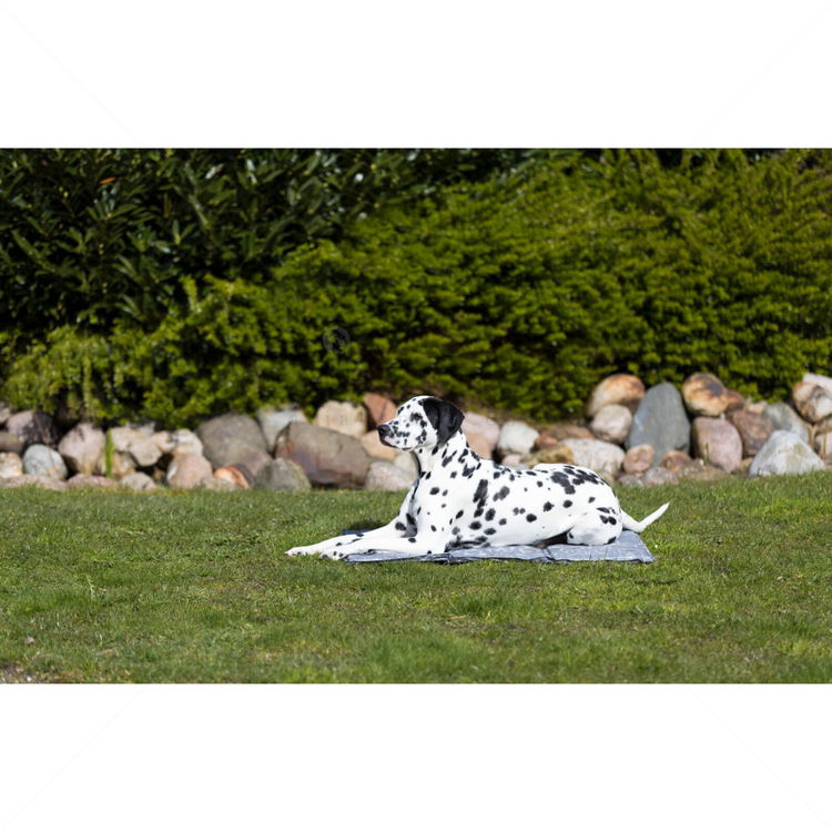 Охлаждаща постелка TRIXIE, сива, 65х50 см