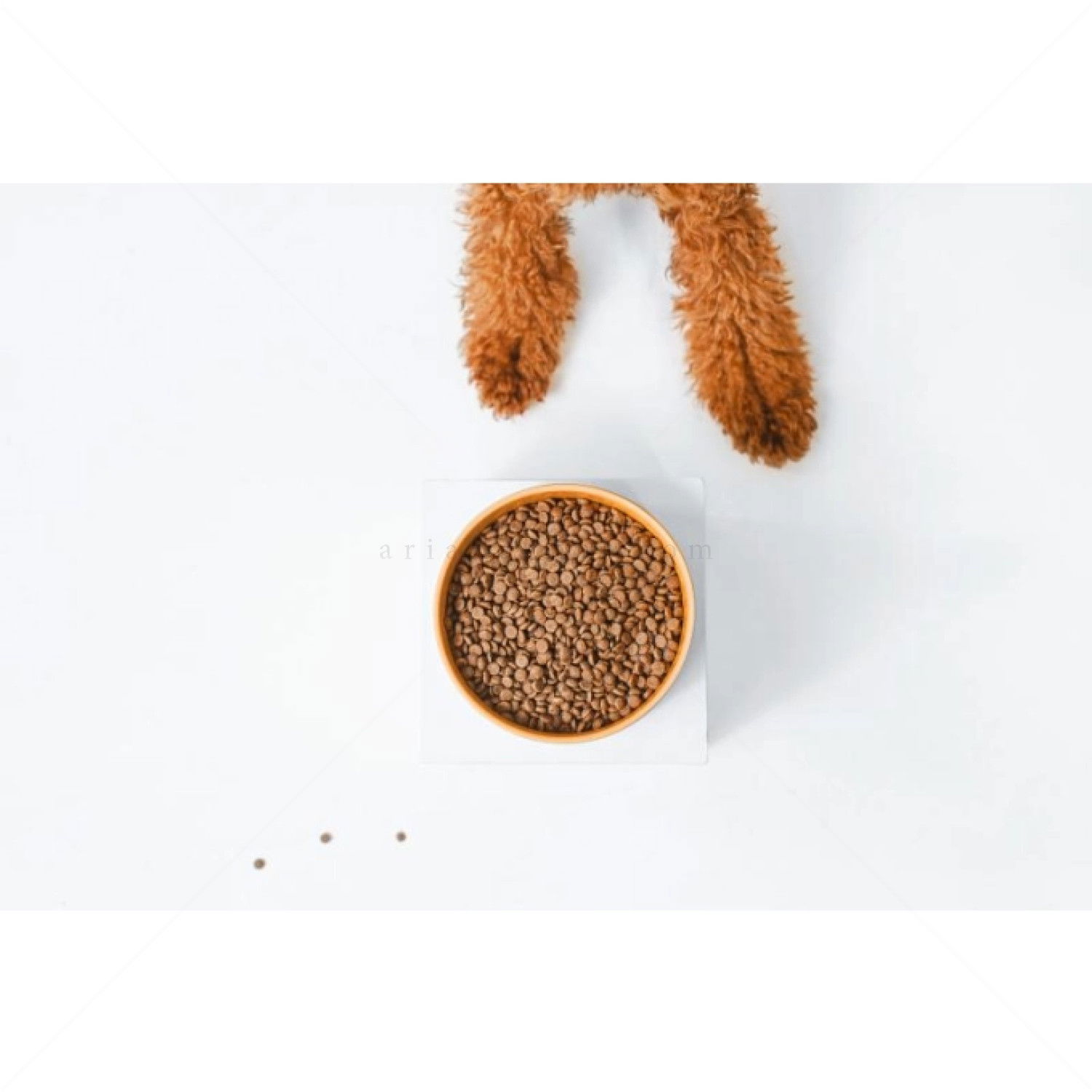 Храна за подрастващи кученца с червена козина 1.5 кг NATURE'S PROTECTION Superior Care Red Coat Junior Small Breeds Salmon