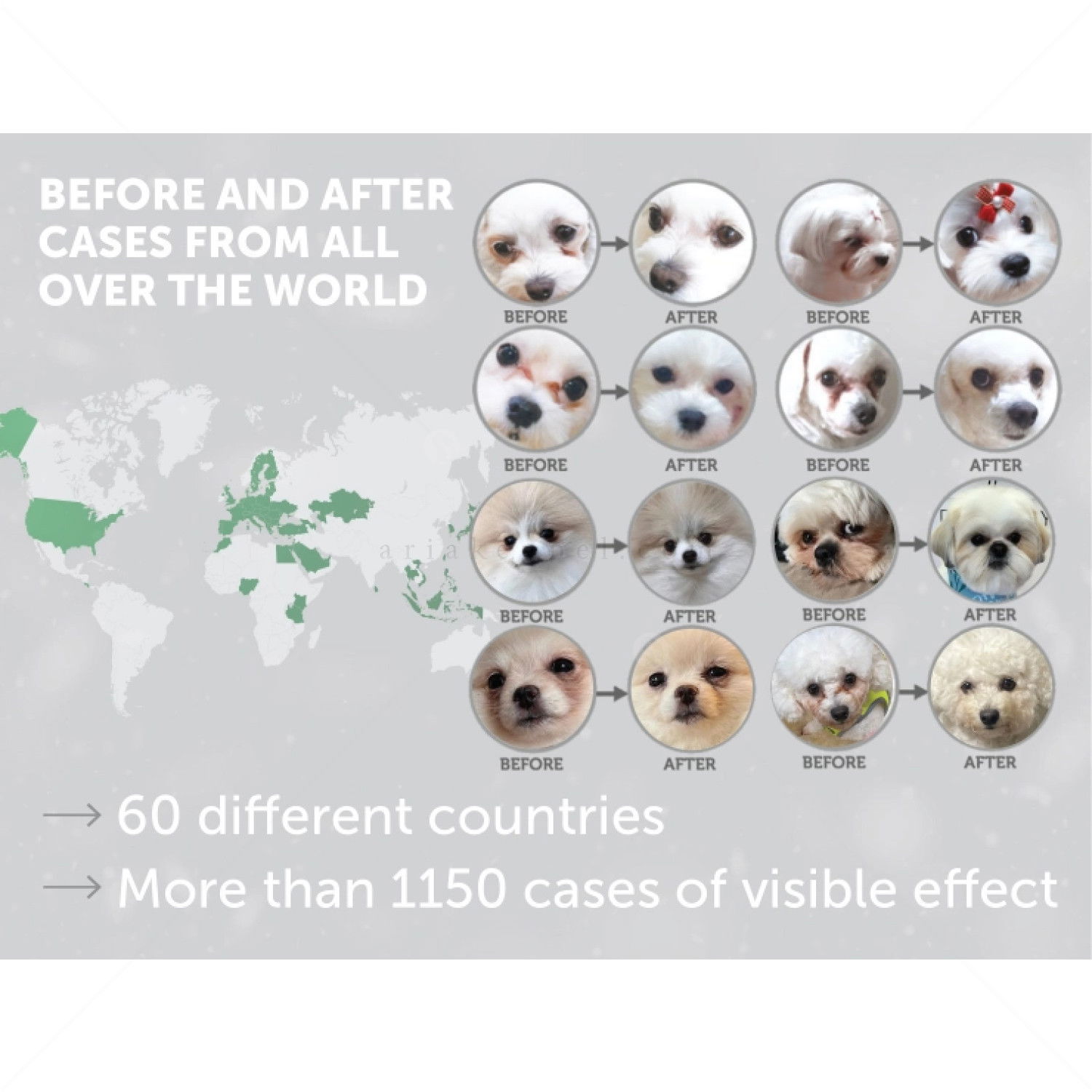 Храна за бели кучета 10 кг NATURE'S PROTECTION Superior Care White Dog Adult Small Breeds Herring