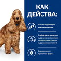 HILL'S Prescription Diet Canine Z/D Food Sensitivities AB+ 3 кг