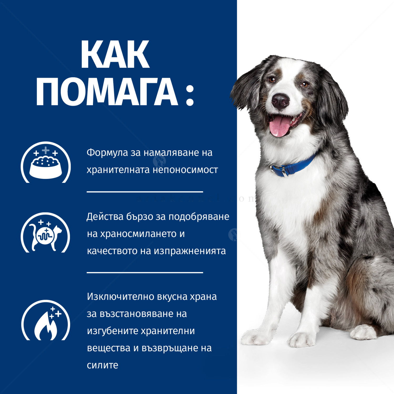 HILL'S Prescription Diet Canine I/D Sensitive AB+ 12 кг - с яйца и ориз