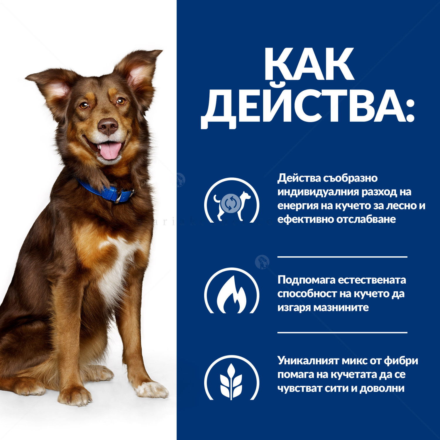 HILL'S Prescription Diet Canine Metabolic 4 кг