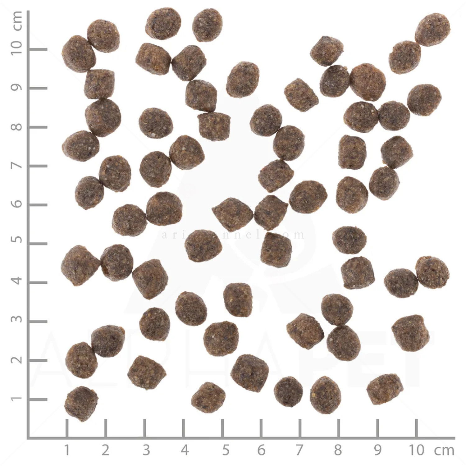 WOLFSBLUT Adult Small Breed Range Lamb 2 кг с агнешко месо и ориз за дребни породи кучета