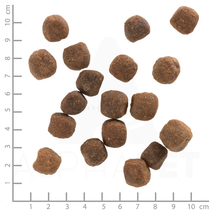 WOLFSBLUT Adult Wild Duck 2 кг с дива патица и картофи за всички породи кучета