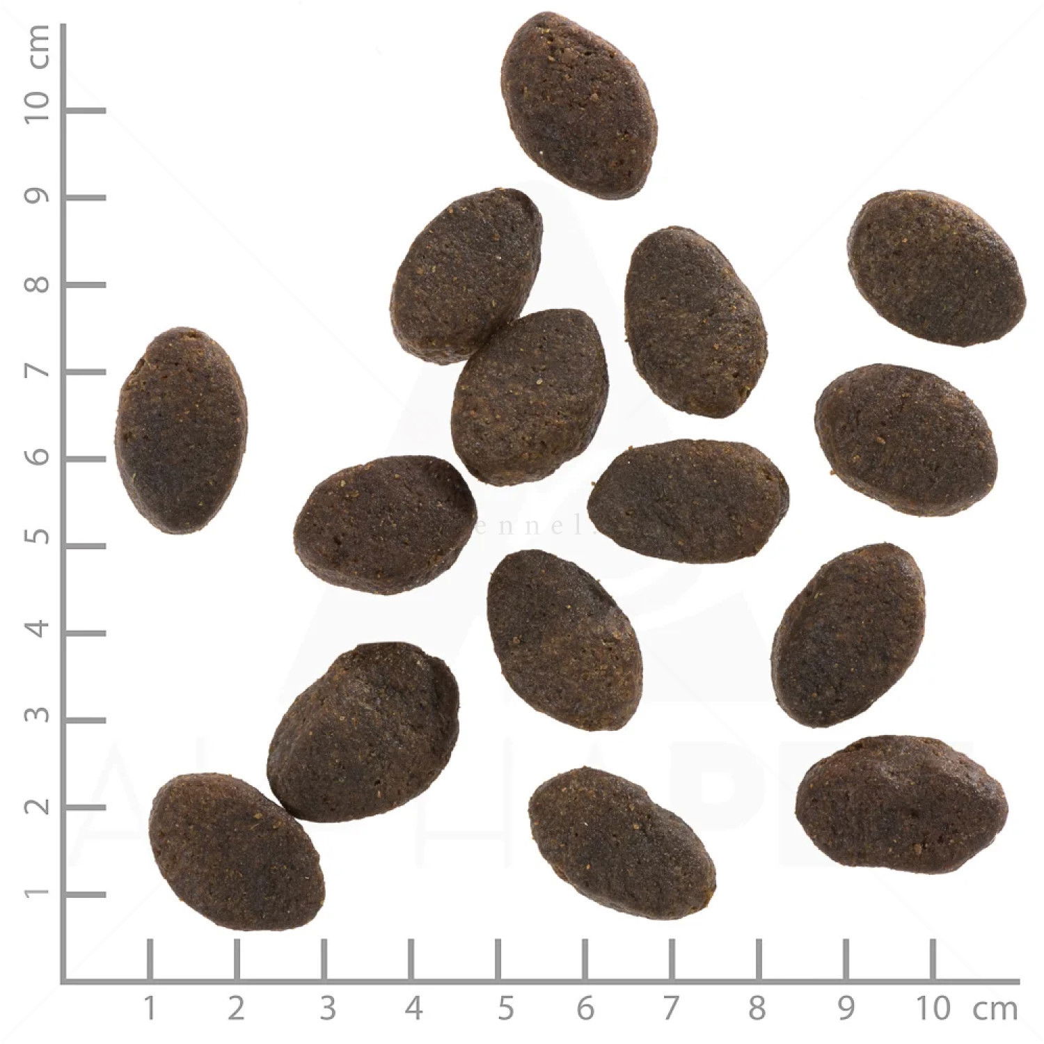 WOLFSBLUT Adult Wild Pacific 2 кг с дива тихоокеанска риба и картофи за всички породи кучета