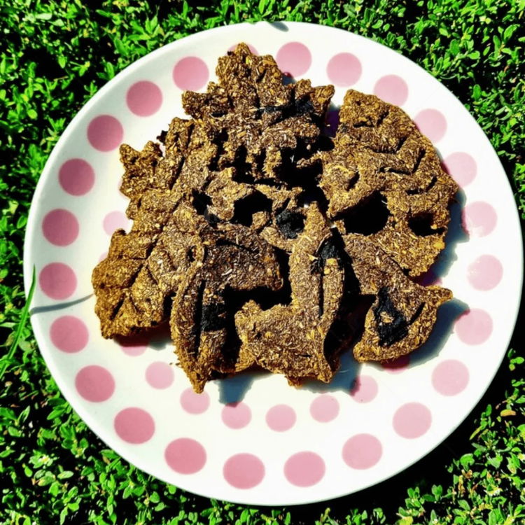 Бисквити с боровинки 60 гр ВЪЛШЕБНАТА ГОРА - натурална храна за зайци, морски свинчета и други малки животни