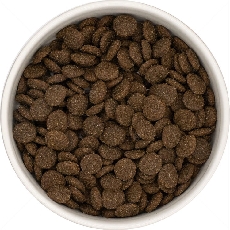 DOG VISION Adult 12 кг Lamb, Sweet Potato & Mint