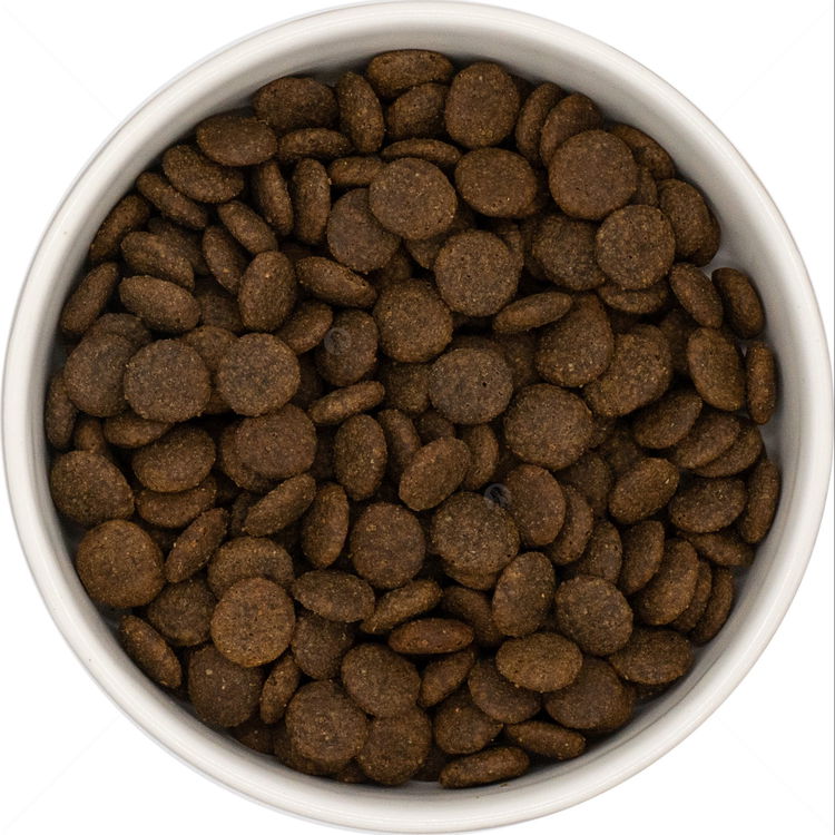 DOG VISION Adult 6 кг Pork, Sweet Potato & Apple